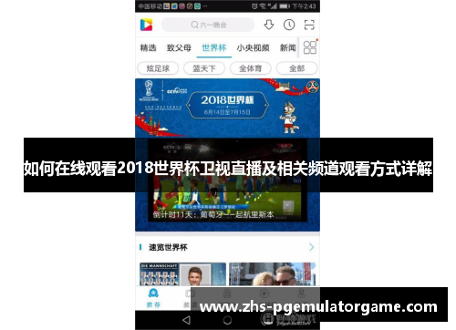 如何在线观看2018世界杯卫视直播及相关频道观看方式详解