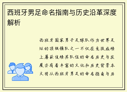 西班牙男足命名指南与历史沿革深度解析