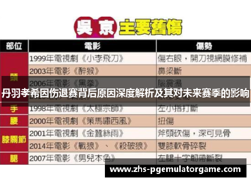 丹羽孝希因伤退赛背后原因深度解析及其对未来赛季的影响