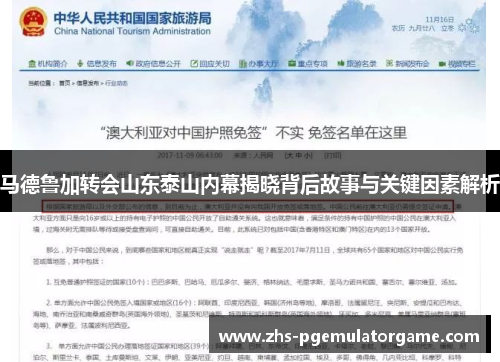 马德鲁加转会山东泰山内幕揭晓背后故事与关键因素解析