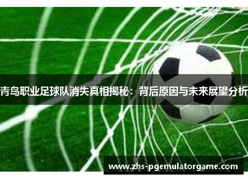 青岛职业足球队消失真相揭秘:背后原因与未来展望分析 青岛职业足球队消失真相揭秘:背后原因与未来展望分析